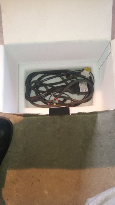 Лампочки бік сеони