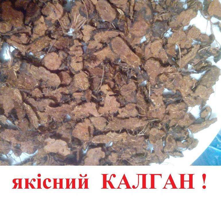 500г. Калган ЯКІСНИЙ Лапчатка прямостояча з Карпат
