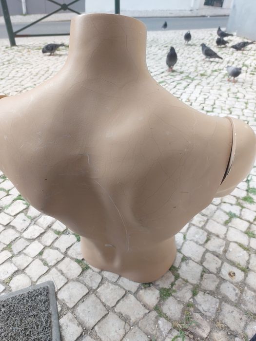 Busto manequim de homem

Em bom estado.

A levantar em Lisboa, Graça.