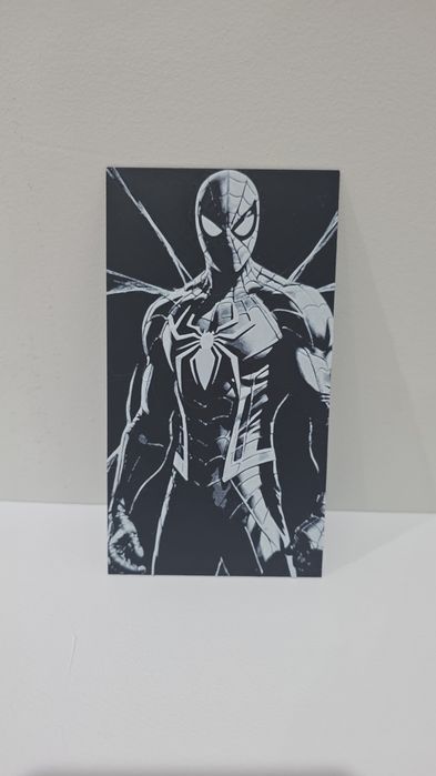 Quadro Spider-man 3D