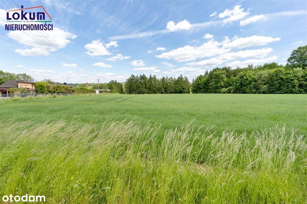 Dębowiec - 1586 m2, blisko centrum, pełne media