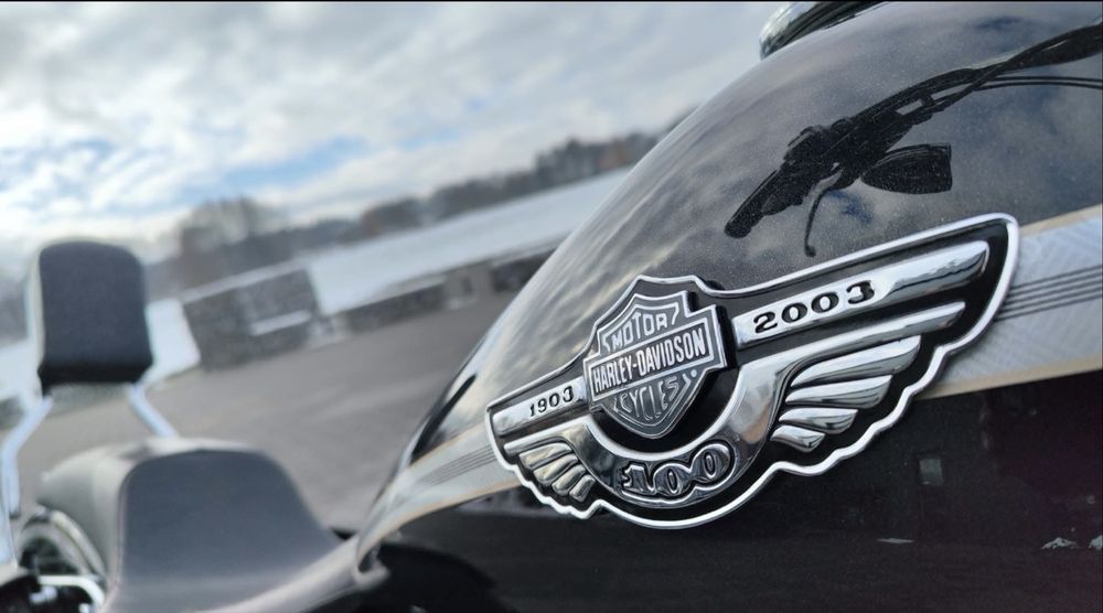 Harley Davidson Springer centenária