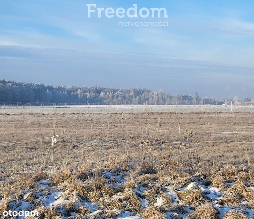 Działka budowlana 10,5a – Kotórz Mały, g. Turawa