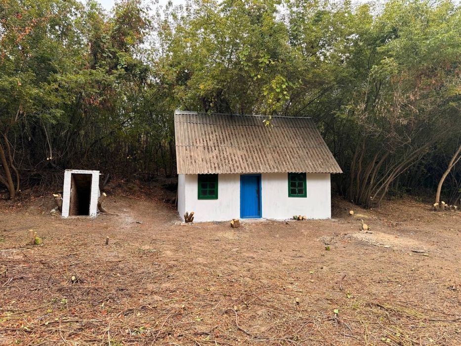 розчистка територій, чистка участків, зрізання дерев, покос трави