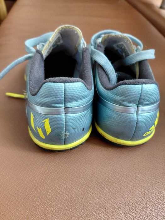 Сороконіжки футбольні