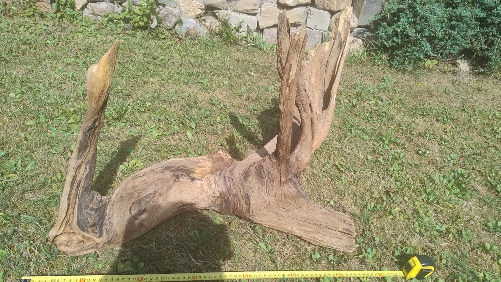 Duży korzeń do akwarium 60cm