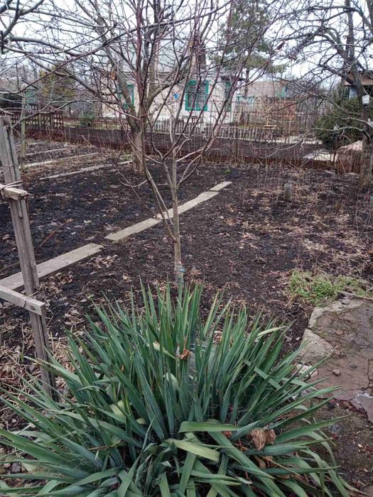 Продаю садовотческое общество Західне