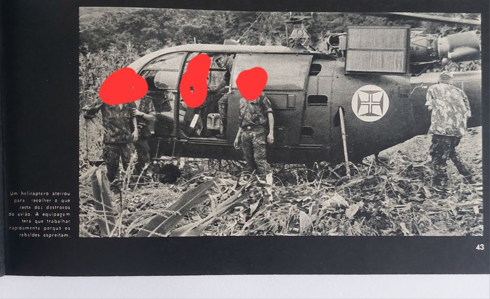 Festival GRANDE Prémio TV Canção