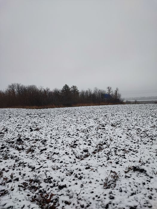 Продам земельну ділянку в місті Узин.