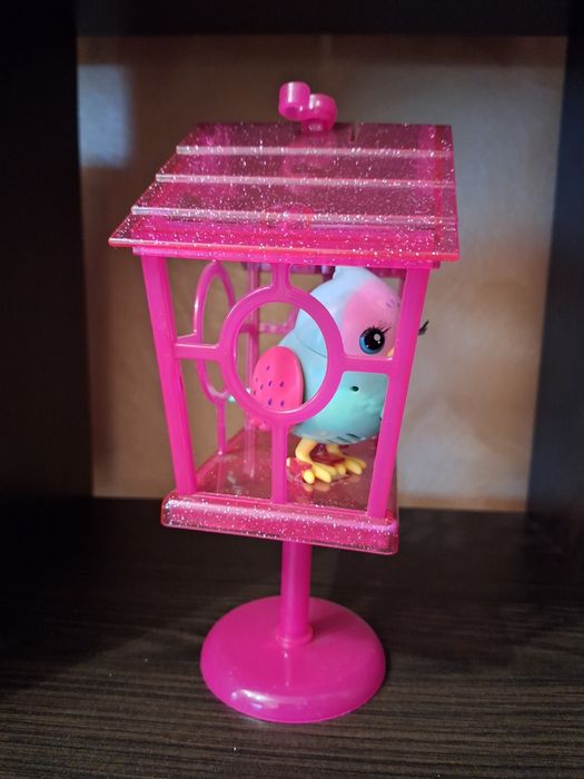 Пташка в клітці видає звуки пташки