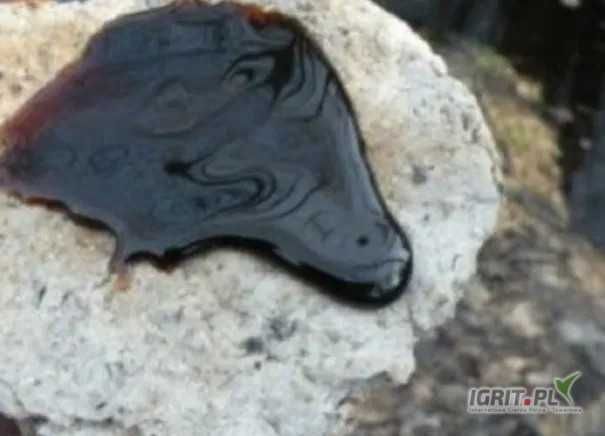 Sprzedam melasę buraczaną