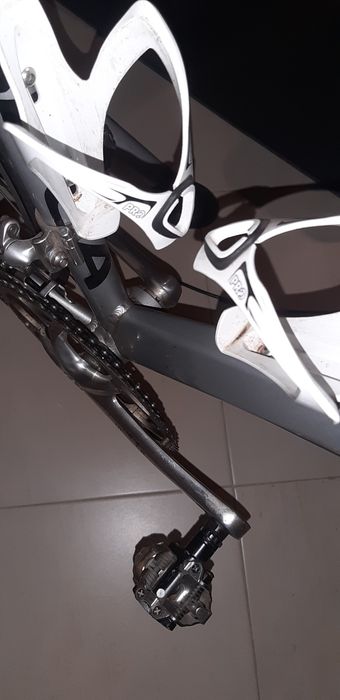 Orbea asphast de estrada