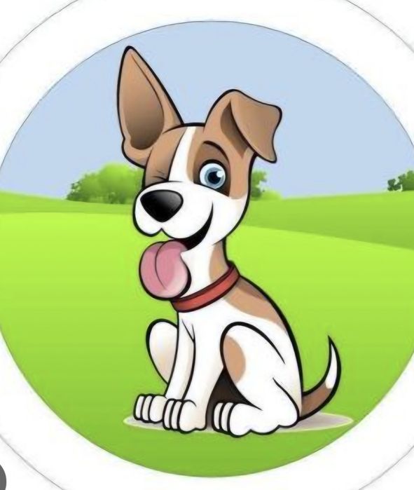 Pet Sitting - Gondomar