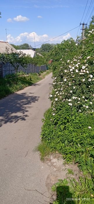 Продам дом в Покотиловке