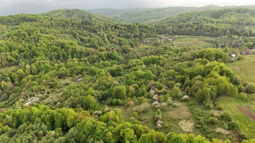 ТЕРМІНОВО/ Земля / Орів / Дрогобицький / Львівська область