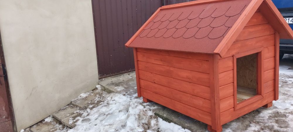 Buda dla dużego psa