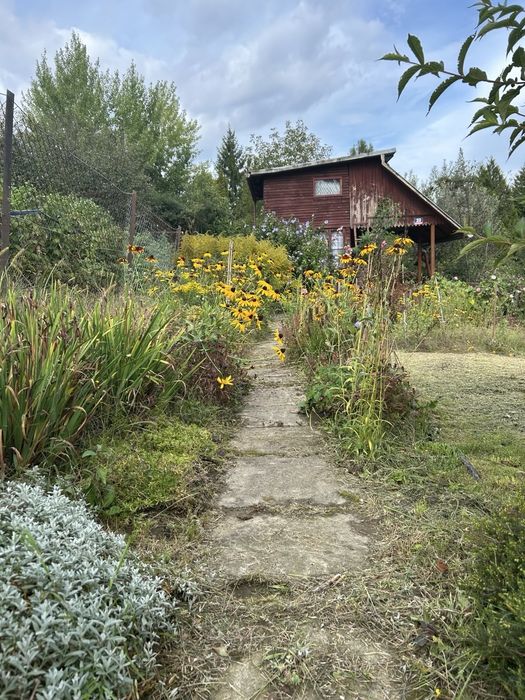 ROD "KOLEJARZ" - 3 ary z podpiwniczonym domkiem