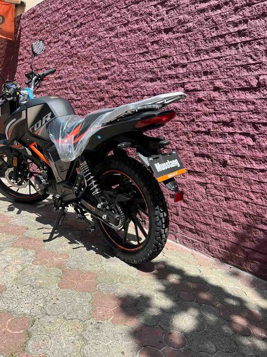 Musstang Region MT200