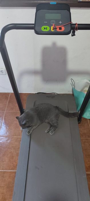 Passadeira elétrica