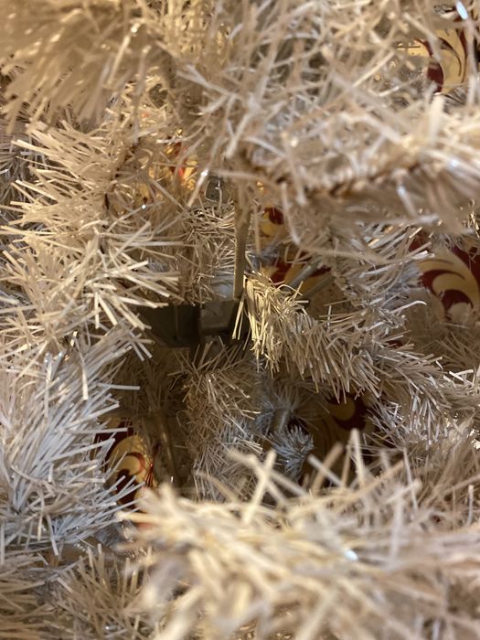 Елка елочка сосна ель