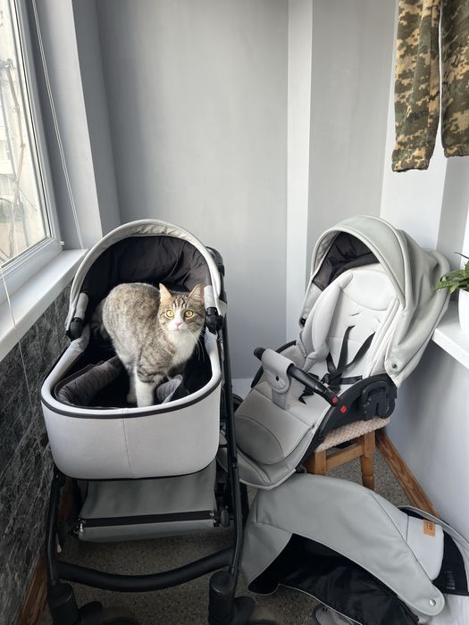 дитяча коляска Anex Cross 3в1