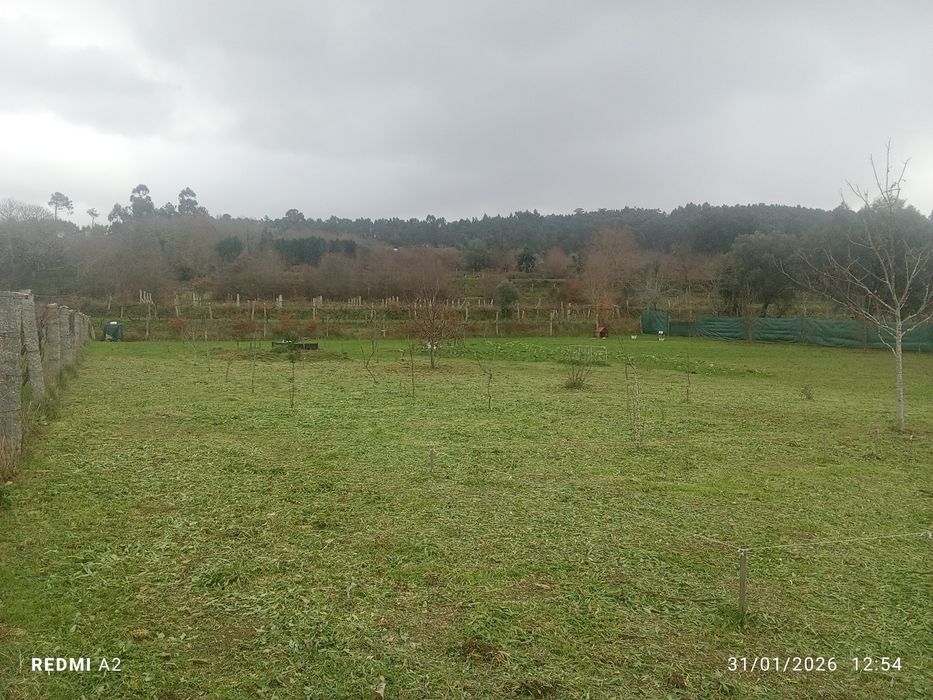 Terreno pomar 3100m2