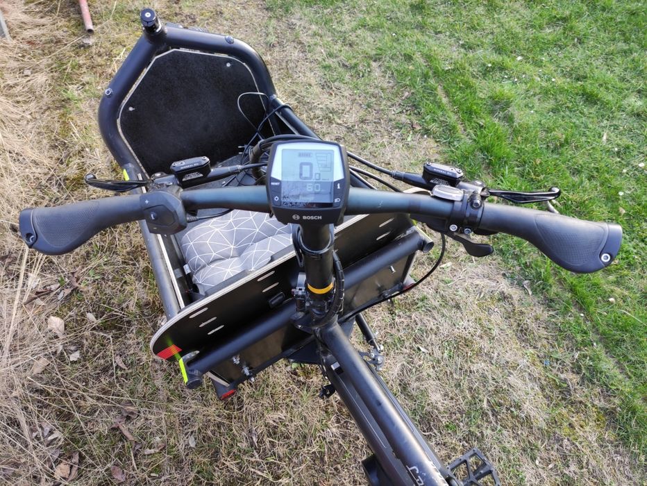 Riese Muller Load 60