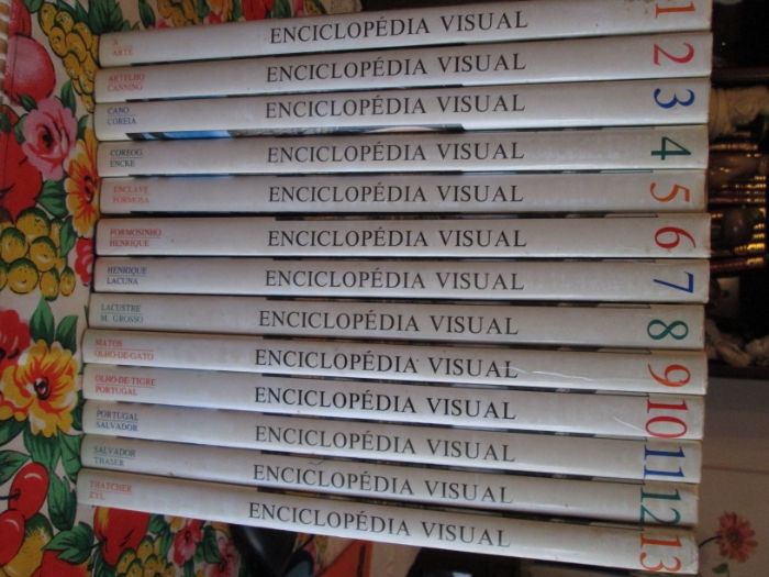 Enciclopédia Visual Multilar