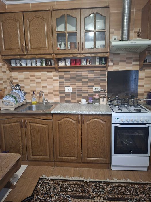 Затишний будинок з каміном та великим садом поблизу Коломиї