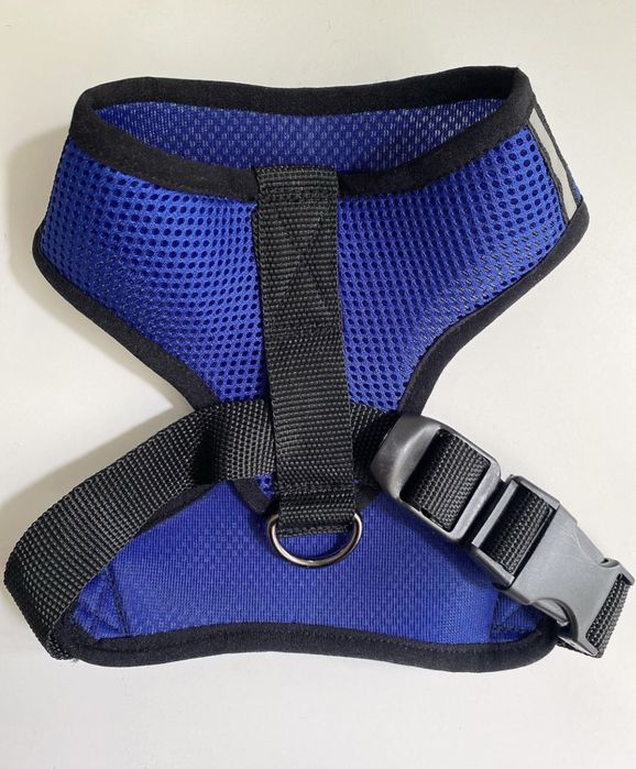 Шлея на собаку кота