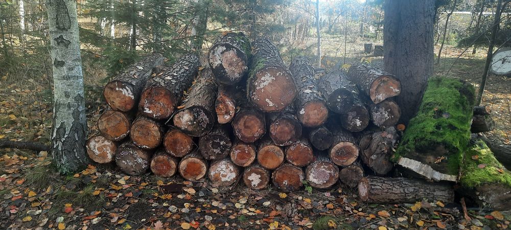 Drewno opałowe olcha - 4 metry przestrzenne