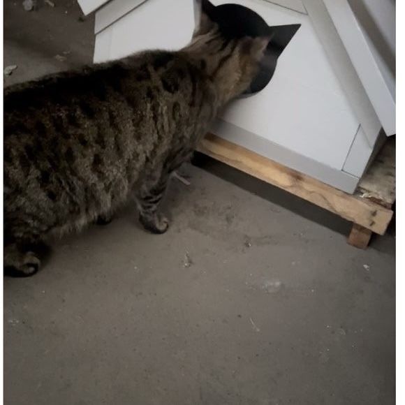 Будиночки для котів та невеликих собак