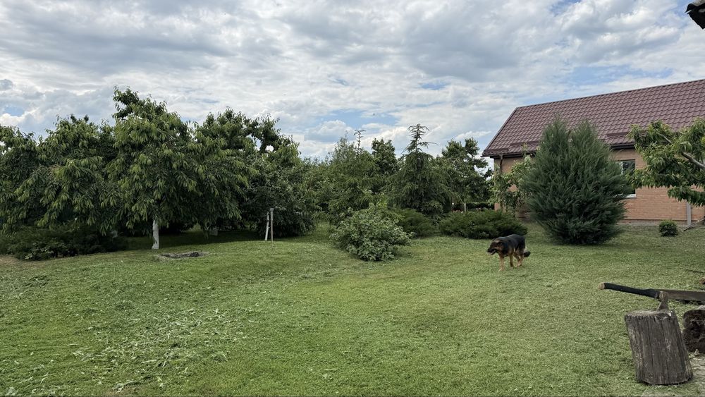 ПРОДАМ хату ,участок,свинарник,дачу, в селі