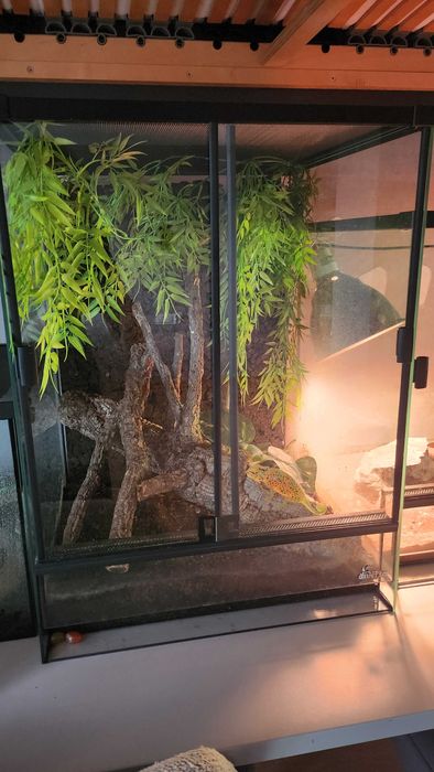 Terrarium dla gekona lub kameleona NOWA CENA