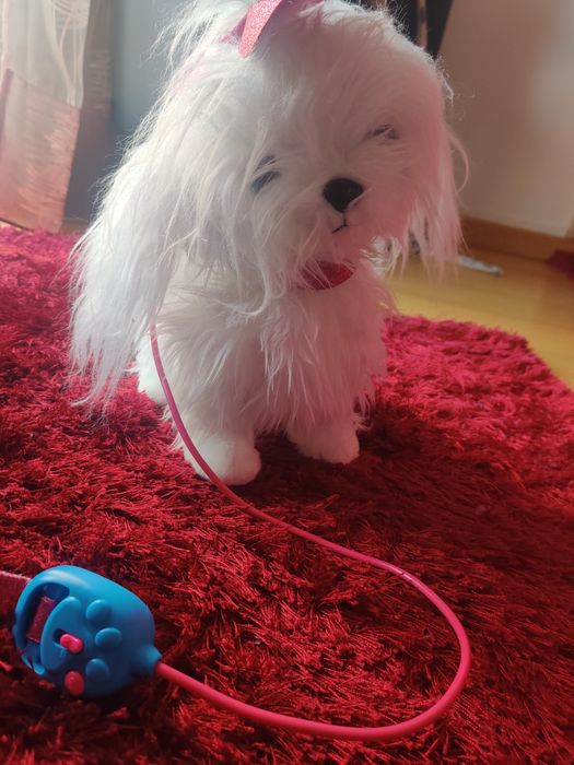 Cão branco interativo