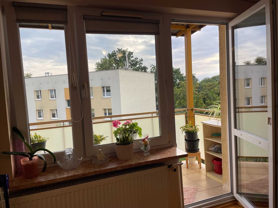 mieszkanie 62 m2 Puławy