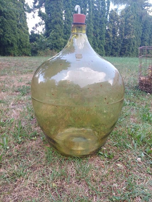 Stara butla na wino z koszem