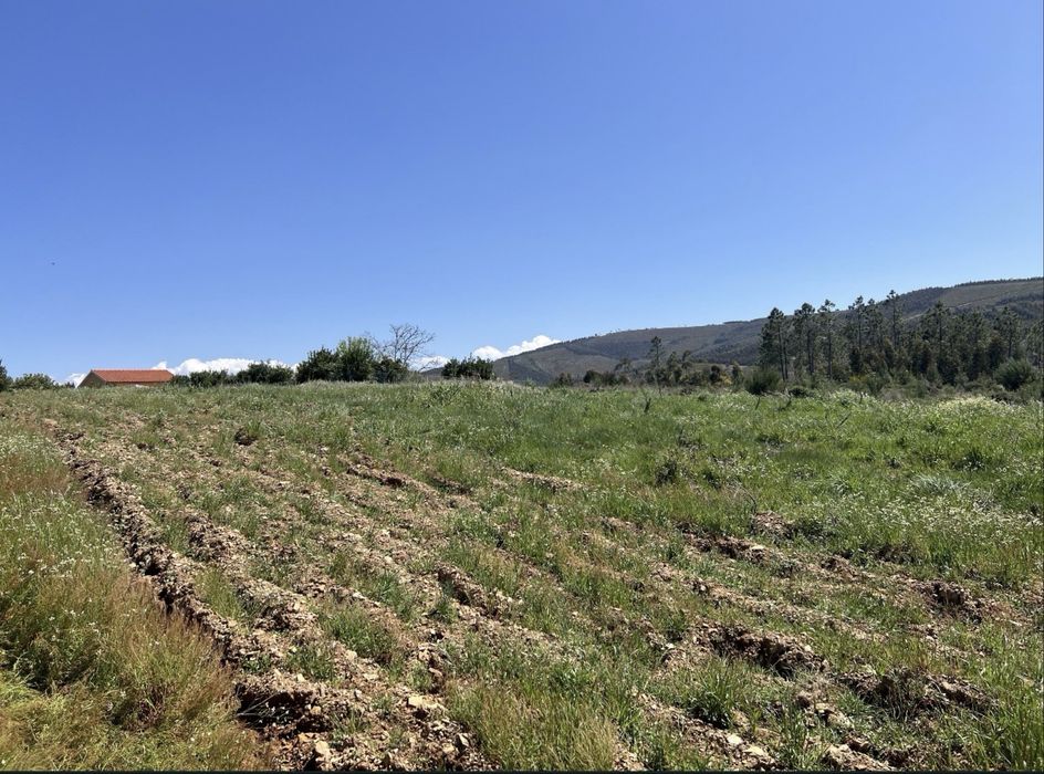 Terreno urbano no Roqueiro, Oleiros - Castelo Branco