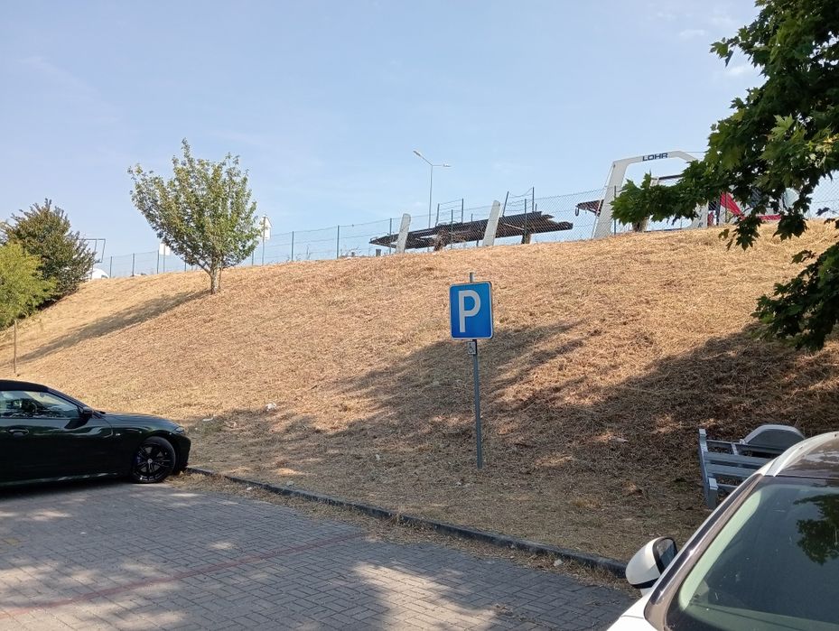 Serviços profissionais de limpeza de terrenos