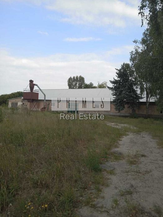 Оренда складських та виробничих приміщень 1150 м2, Нові Петрівці