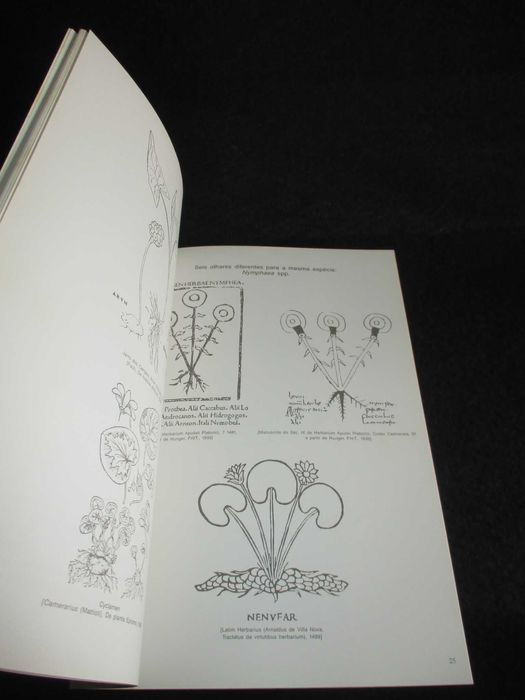 Livro Ilustração Botânica Na Era do Livro Impresso