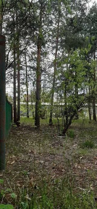 Продам участок под жилую застройку 12,9 соток с. Плюты ЖМ Лесной Конча