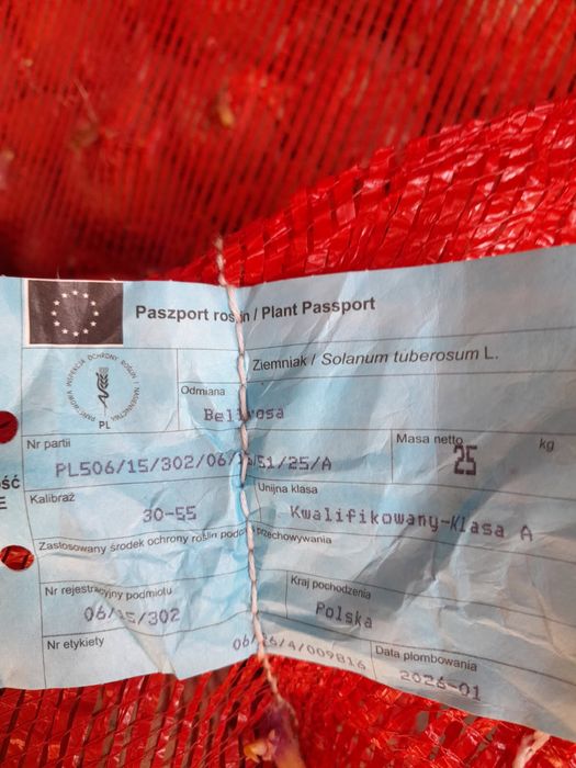 Sprzedam ziemniaki sadzeniaki bellarosa kwalifikat