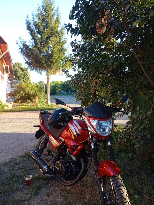 Продам Мустанг регіон 150