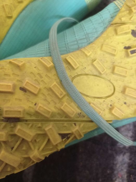 Сороконіжки універсальні