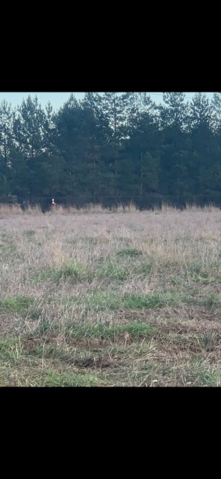 Działka budowlana Oława Nowy Otok 9ar
