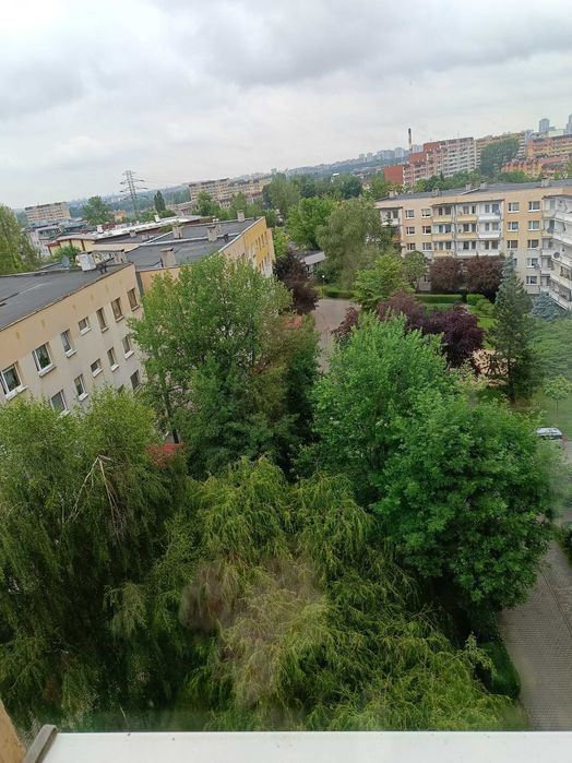 2 pokoje, wygodne przytulne , w super lokalizacji
