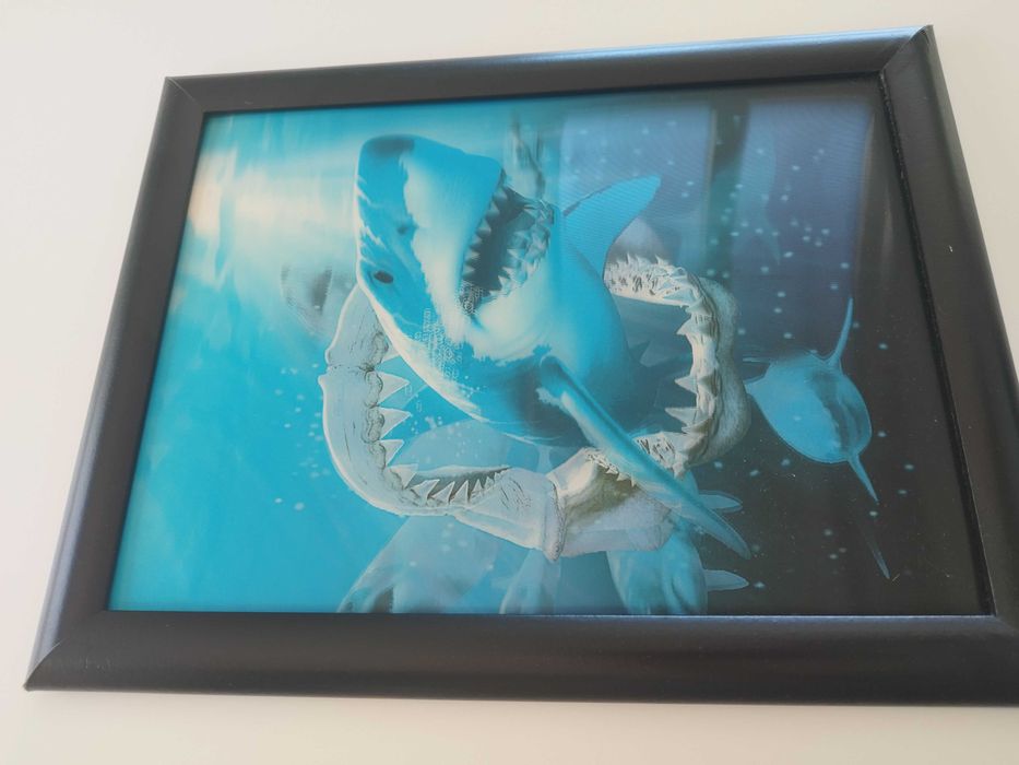 Quadros de animais de Impressão lenticular64752314725121123