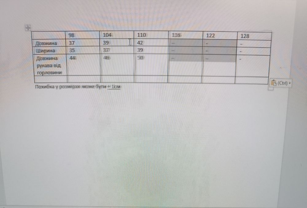 Тепла кофта трьохнитка на флісі 98, 104, 110