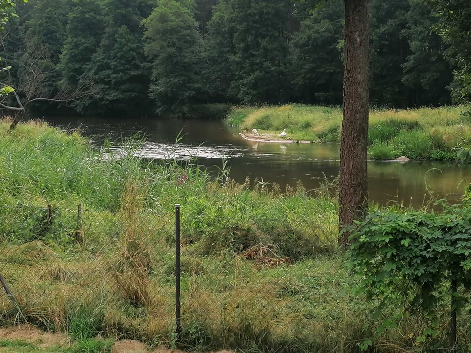 Domek letniskowy nad rzeką  Warta  z  podgrzewanym basenem